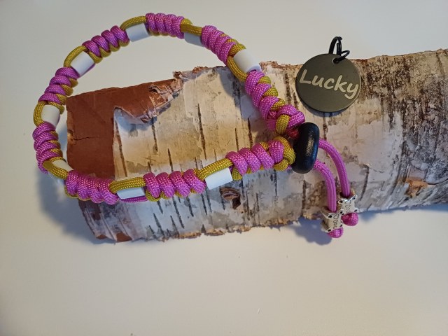 20250204_084442_640x480