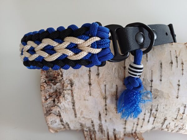 halsband clubkleuren