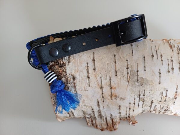 halsband clubkleuren
